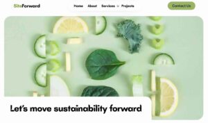 Web Development for Site Forward